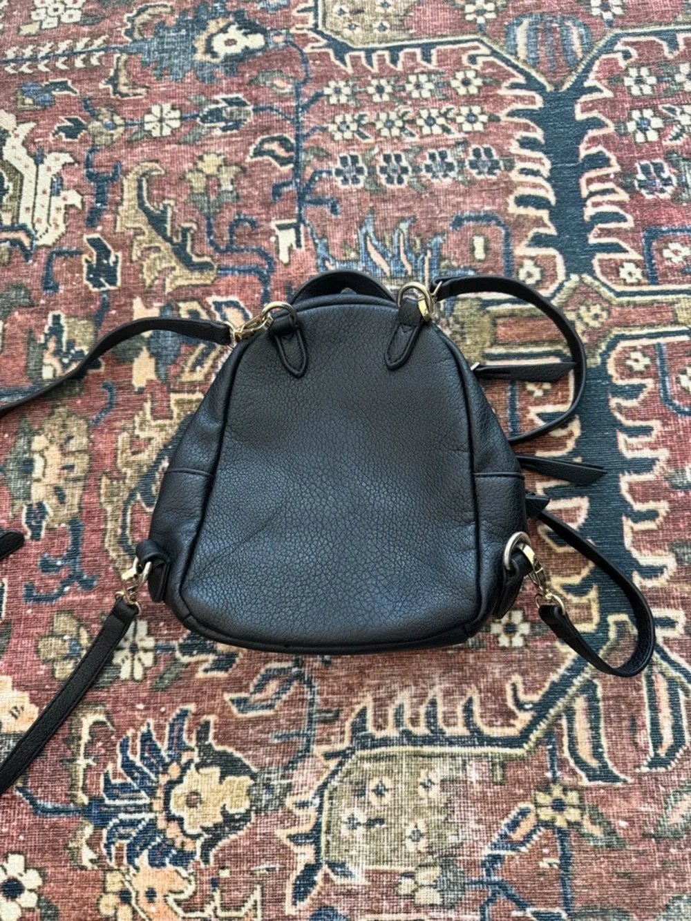 Peta + Jain compact black